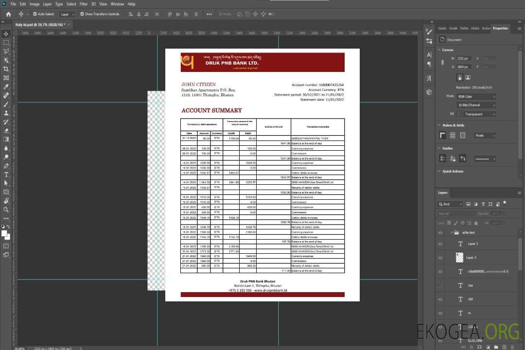 Relevé bancaire du Bhoutan Druk PNB template